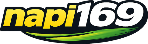 Logo napi169